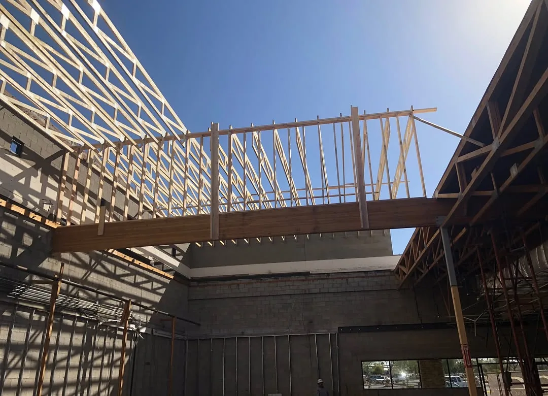 Chandler Mercado Uptown Jungle project view 3